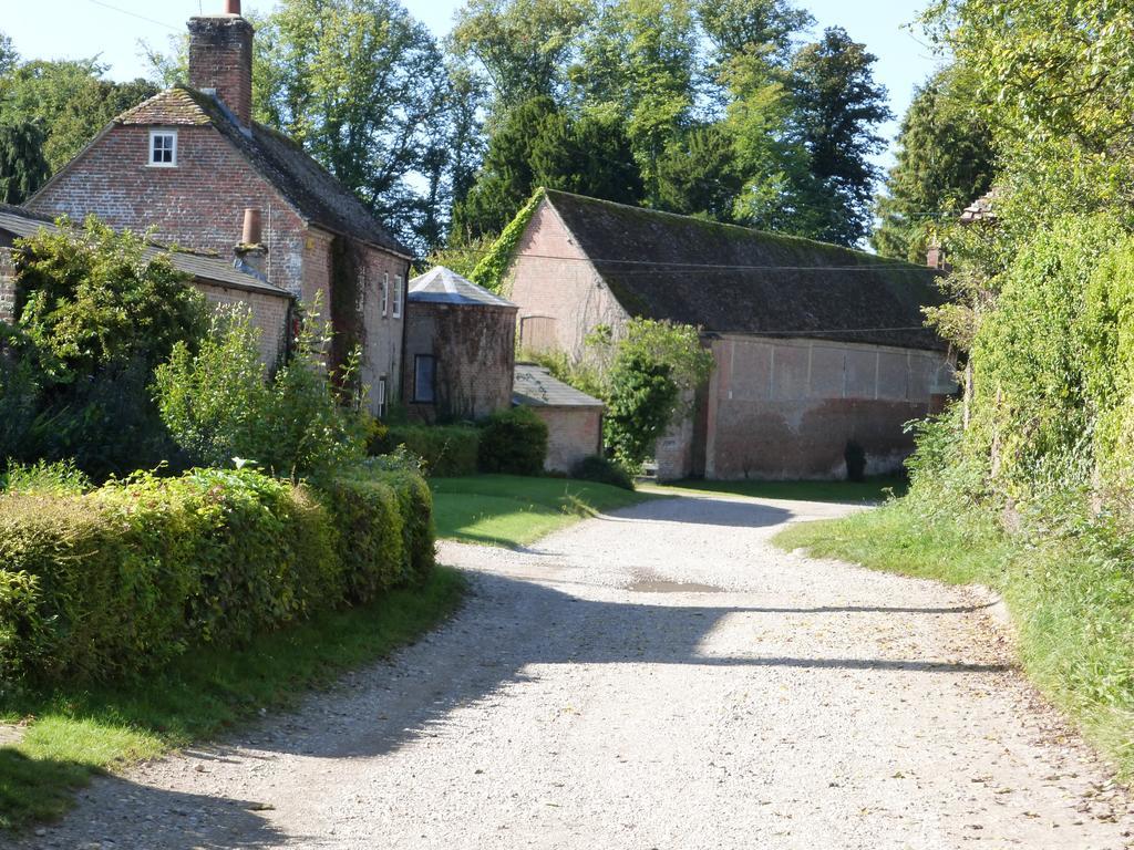 Home Farm House Wimborne Saint Giles Extérieur photo