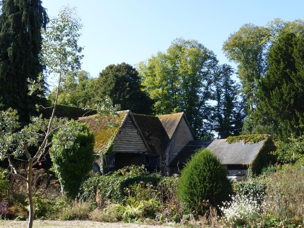 Home Farm House Wimborne Saint Giles Extérieur photo